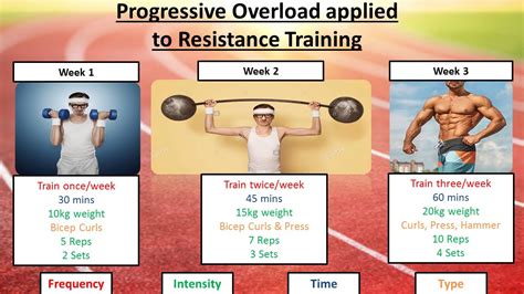 your training programme, if using weight training then you need approx 6-8 exercises if. . Weight training definition gcse pe
